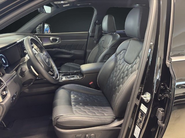 Kia Sorento Platinum Edition 2.2 CRDi 4WD, 148kW, A8, 5d.