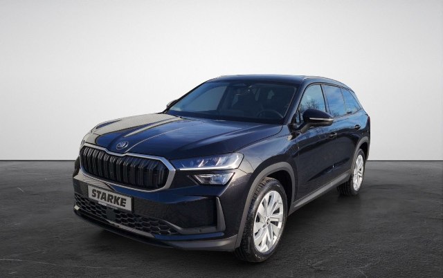 Škoda Kodiaq Selection 2.0 TDI DSG, 110kW, A7, 5d.